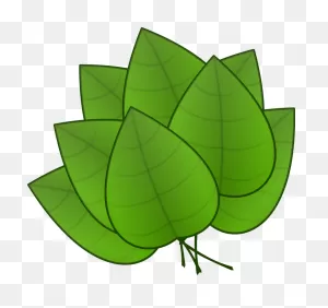 Pile Of Fall Leaves Clipart Free Clipart Images - Parts Of Plants ClipartFlare.com 