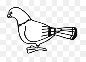 Pigeon Clipart. Free Download Transparent .png | ClipartFlare