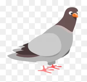 Pigeon Bird Animal - Free Vector Graphic On ClipartFlare