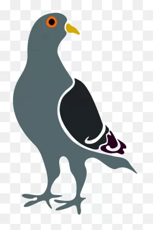 Pigeon Png Alpha Channel Clipart Images (Pictures) With ClipartFlare.com 