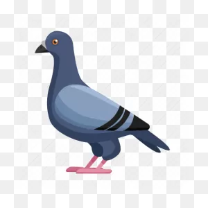 Vector Clip Art Of Grey Pigeon Illustration | Free PNG-WebP