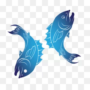 Horoscope Pisces Sign Clipart Transparent Png - Stickpng