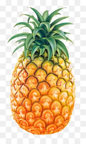 Fruit Ananas Pineapple Fruit Clipart - Fruit Clipart Food Clip Art