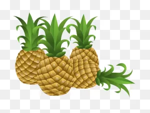 Pineapple Free To Use Clip Art - ClipartFlare