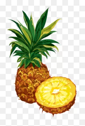 Pineapple With Slice, Clip Art Free Image Download