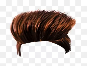 Hair Png - Hair Png For Picsart | Full Size Png Download | ClipartFlare
