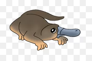 Animals Clip Art By Phillip Martin, Platypus