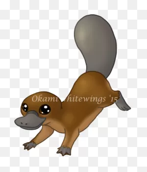 Baby Platypus By Okamiwhitewings On 