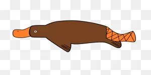 Duck-Billed Platypus Duck - Free Vector Graphic On ClipartFlare