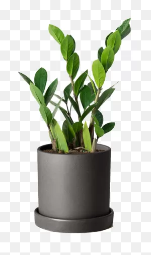Free Photo Gardening Plant Garden Planter Vase Flowerpot - Max Pixel