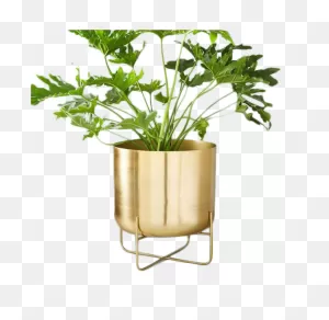 Planters - Hardware 2.0 Brooklyn | Unsoiled - Formally Hardware ClipartFlare.com 