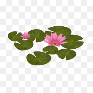 Category:wetlands Foliage Pack (Zeta-Designs) | Zt2 Download ClipartFlare.com 
