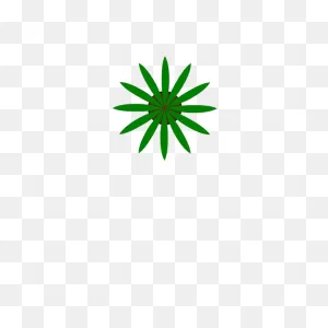 Green Plant Top View Vector Drawing | Free PNG-WebP