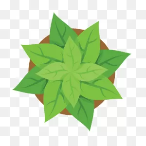 Plant Pot Top View Clipart. Free Download Transparent .png | ClipartFlare