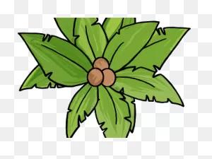 Plant Top View Png - Top Of Palm Tree Clip Art , Transparent ClipartFlare.com 