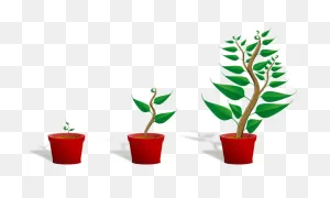 100  Free Potted Plant & Plant Vectors