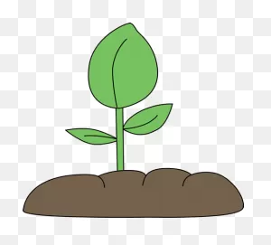 Plant Clip Art - Plant Image