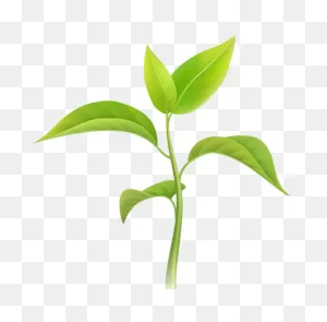 Plant Food Systems – Premium Plant Nutrition And Protection