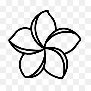 Download Plumeria Clipart Png Png Image With No Background ClipartFlare.com 