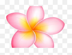 Fun Plumeria Flower Sticker