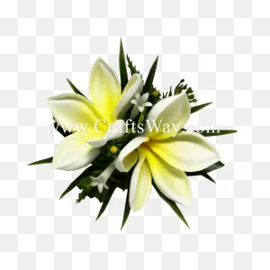Plumeria Flower Transparent Png Clip Art Image - Ivory - Full Size ClipartFlare.com 