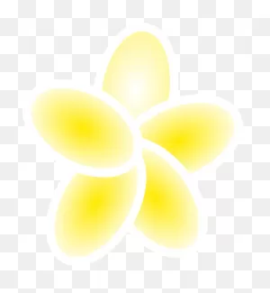 Plumeria Flowers Png File