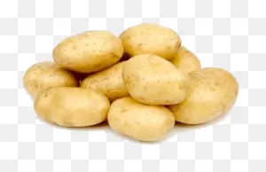 Free Png Potato Png Images Transparent - Potatoes | Full Size Png ClipartFlare.com 