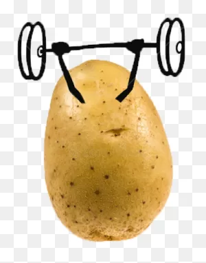 Home | Michigan Potatoes