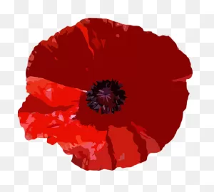 30  Free Poppy & Poppies Vectors