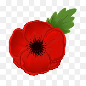 Free Poppy Cliparts, Download Free Poppy Cliparts Png Images, Free ClipartFlare.com 