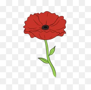 How To Draw A Poppy - Really Easy Drawing Tutorial | Flower ClipartFlare.com 