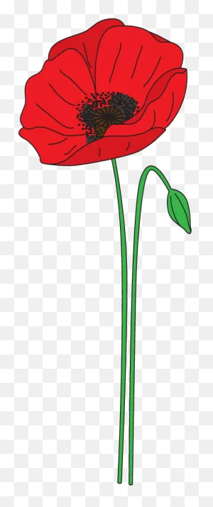 Poppy Clipart Anzac Poppy - Anzac Day Poppy Clipart - (539X1123 ClipartFlare.com 