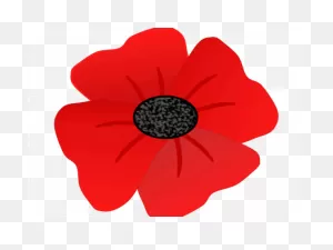 Poppy Clipart Transparent Background - Poppy Flower Clip Art - Png ClipartFlare.com 