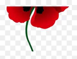 Poppy Clipart Red Poppy - Memorial Day - Png Download - Full Size ClipartFlare.com 