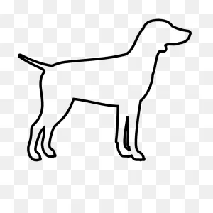 Illegal Laser Pointer Clipart - Full Size Clipart (#2096874 ClipartFlare.com 