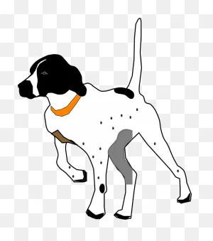 Pointer