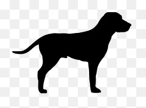 Pointer Dog Doggy - Free Vector Graphic On ClipartFlare
