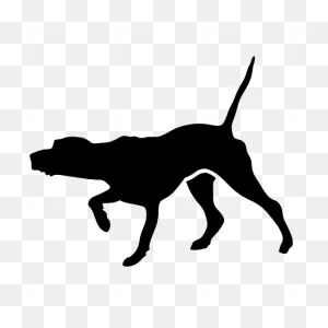 Teacher Pointer Cursor – Custom Cursor