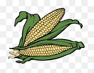 30  Free Corn Husks & Corn Images