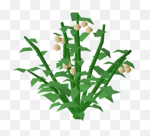 Poison Ivy Bush - Osrs Wiki