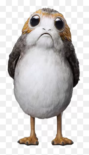 Download Porg Star Wars Plush - Full Size Png Image - ClipartFlare