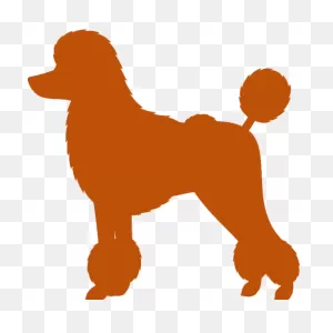 Best Poodle - Good Dog! Best Poodle!!