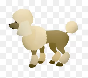 Poodle Clipart. Free Download Transparent .png | ClipartFlare