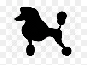 Poodle Clipart Transparent - Miniature Poodle - Png Download ClipartFlare.com 
