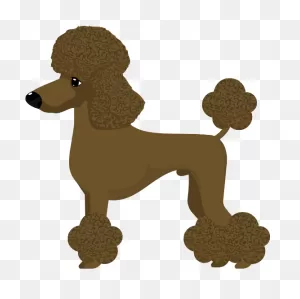 Standard Poodle Clipart - Full Size Clipart (#5573879) - ClipartFlare