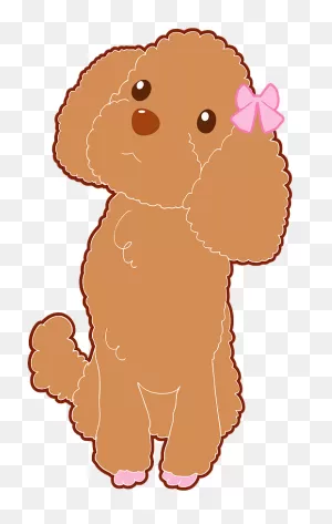 Toy Poodle Clipart. Free Download Transparent .png | ClipartFlare