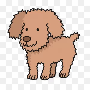 Toy Poodle | Free PNG-WebP