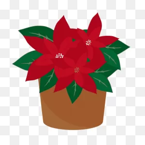 Alanspeak-Poinsettia | Free PNG-WebP