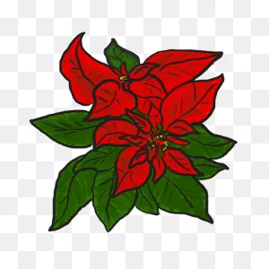 Free Poinsettia Clipart, Download Free Poinsettia ClipartFlare.com 