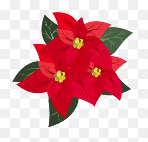 Graphic Poinsettia Christmas - Free Vector Graphic On ClipartFlare